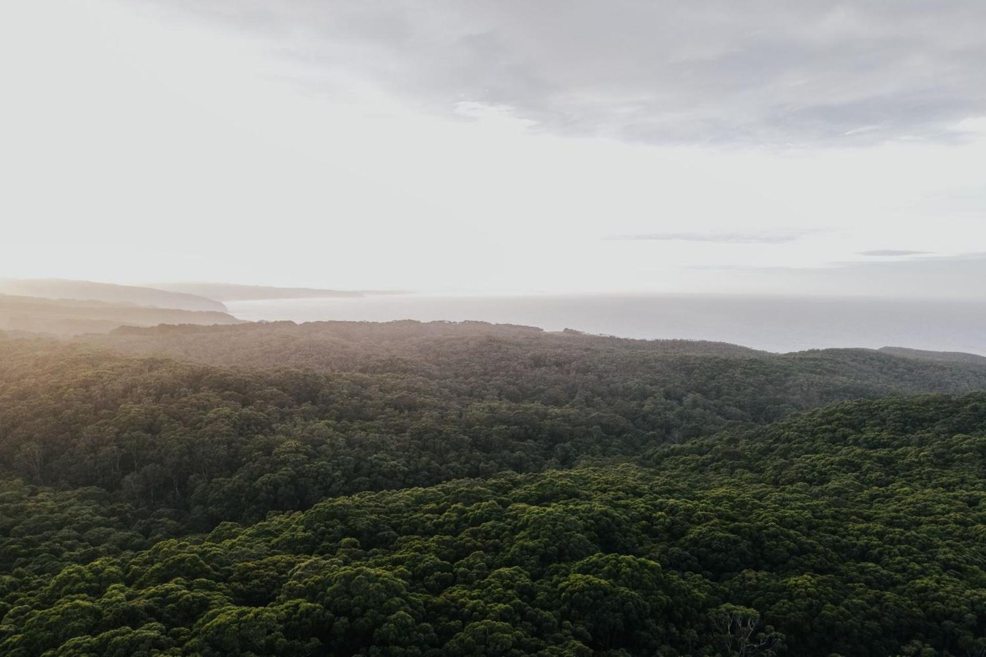 Alkina Lodge Nuru Wattle Hill المظهر الخارجي الصورة
