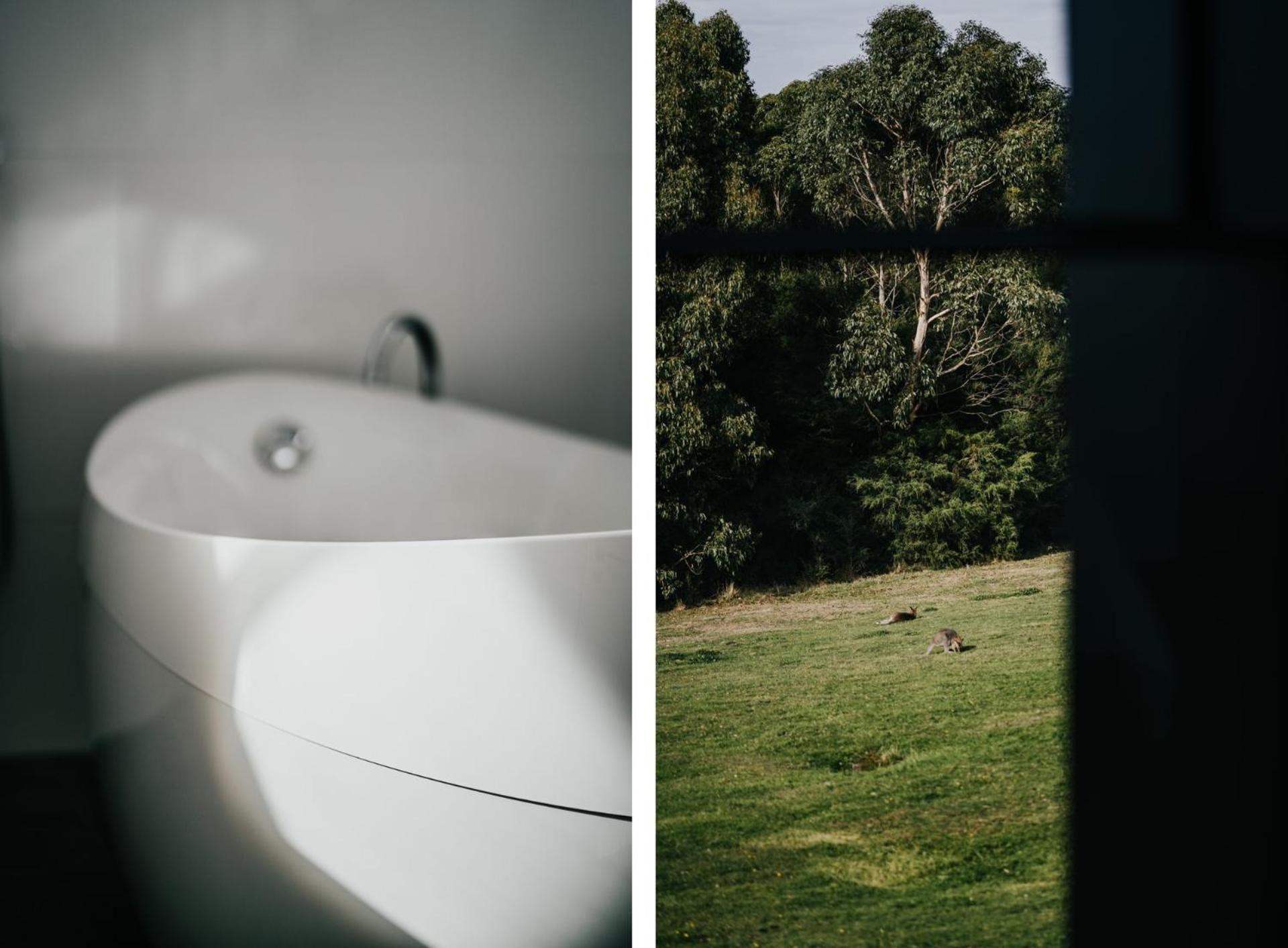 Alkina Lodge Nuru Wattle Hill المظهر الخارجي الصورة